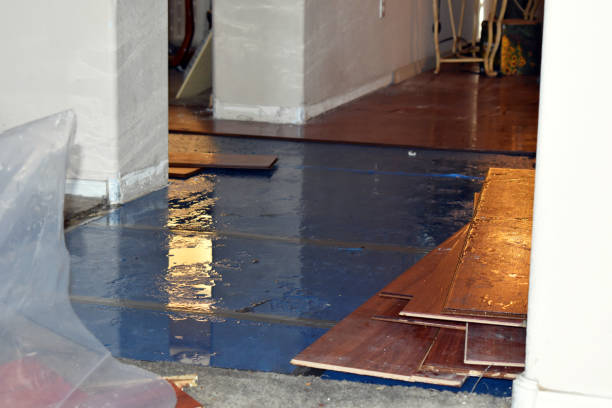 Professional Basement Flooding technician working in Villa Maria, PA